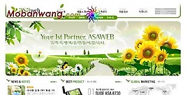 搭建門戶網(wǎng)站